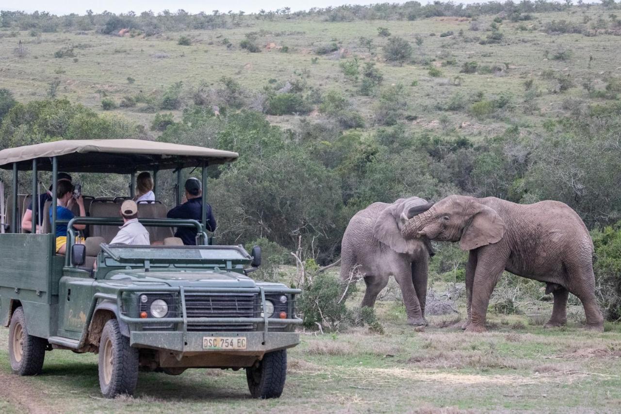 Pumba Private Game Reserve Grahamstown Exterior photo