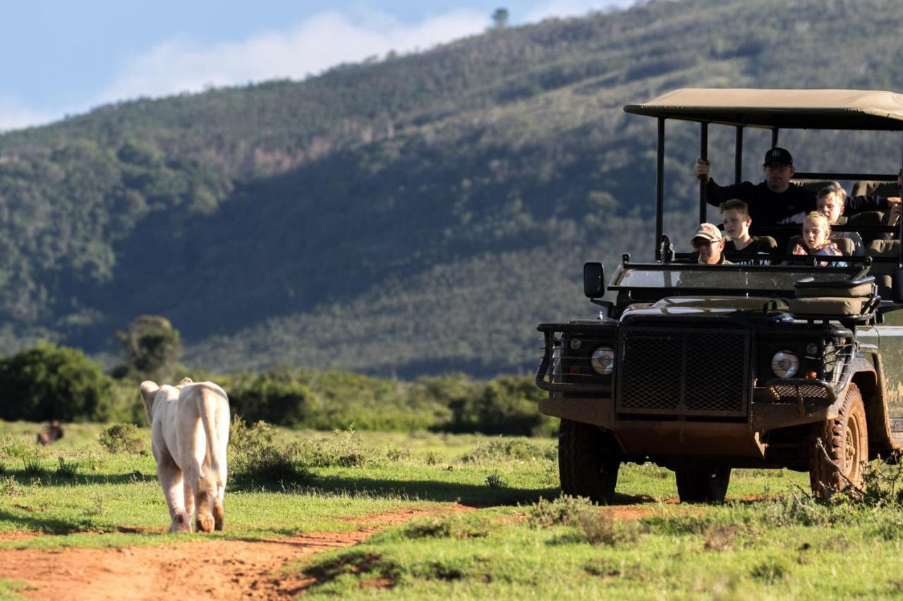 Pumba Private Game Reserve Grahamstown Exterior photo