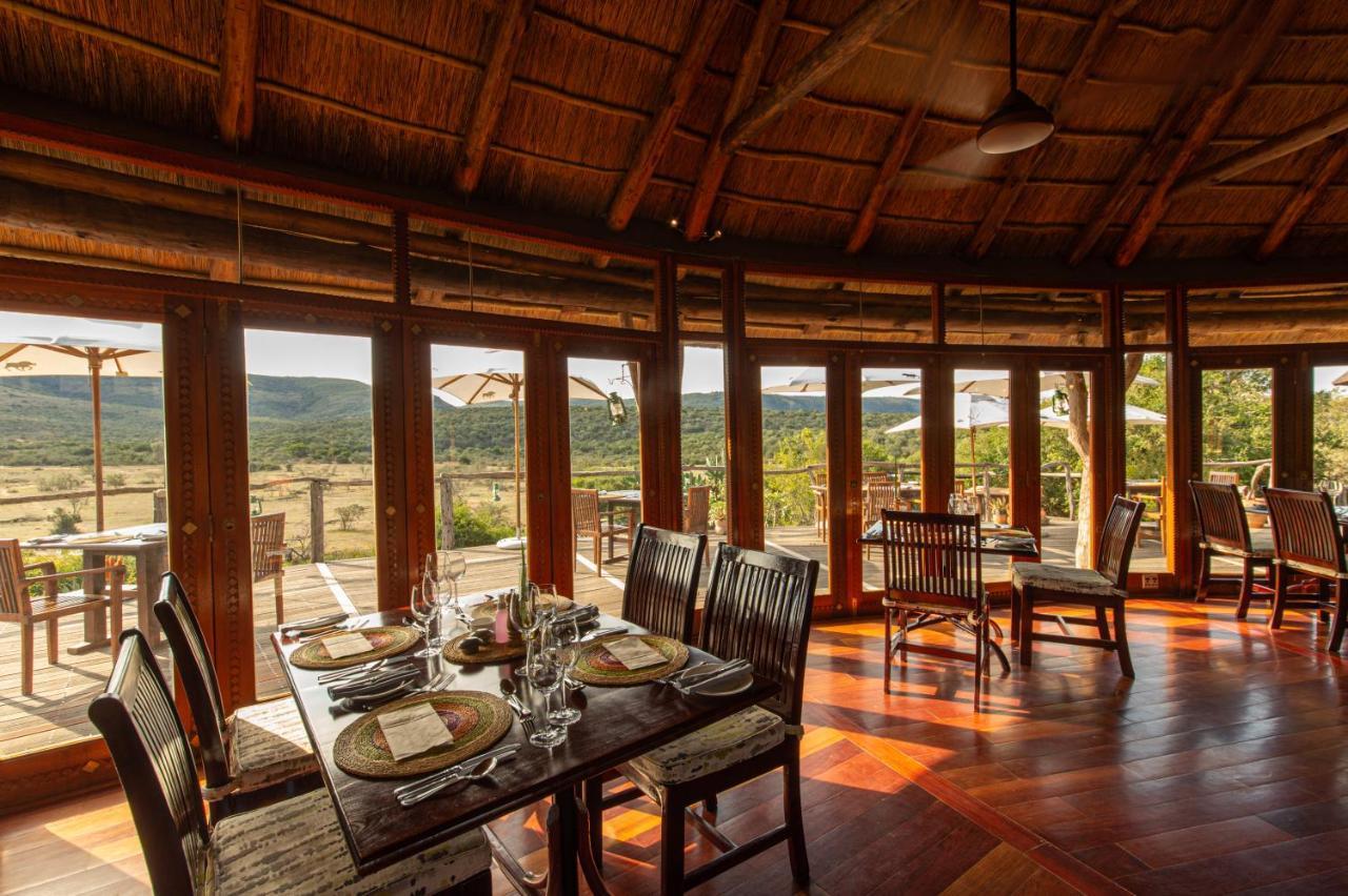 Pumba Private Game Reserve Grahamstown Exterior photo