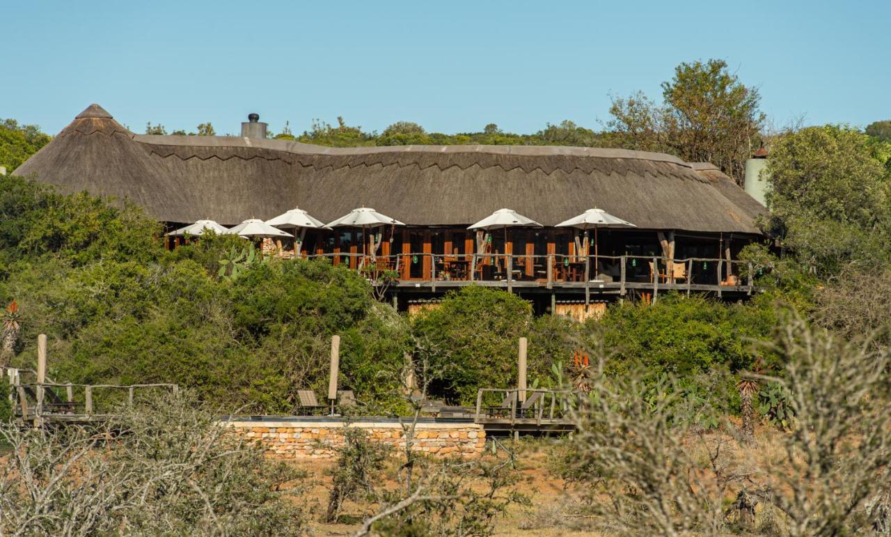 Pumba Private Game Reserve Grahamstown Exterior photo