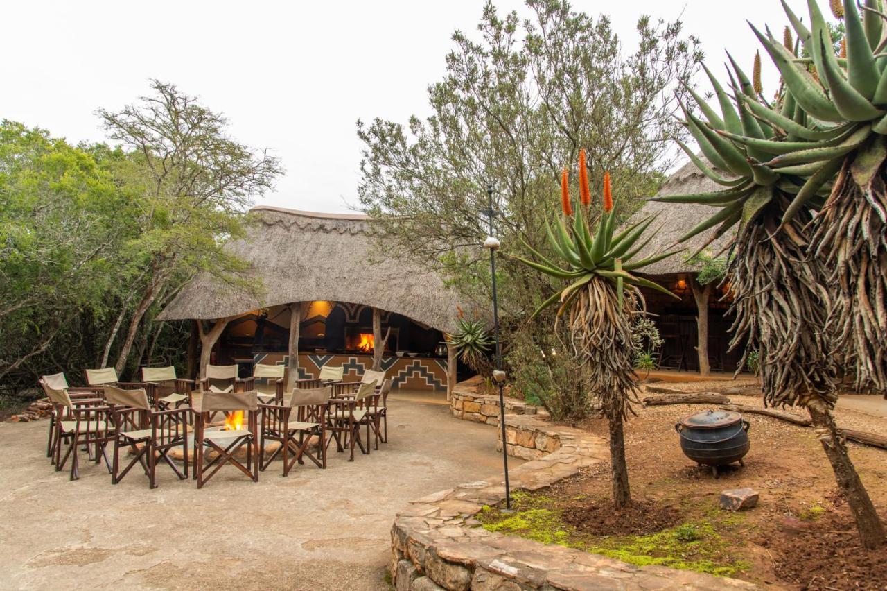Pumba Private Game Reserve Grahamstown Exterior photo