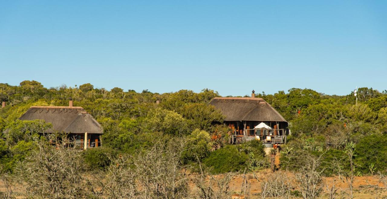 Pumba Private Game Reserve Grahamstown Exterior photo
