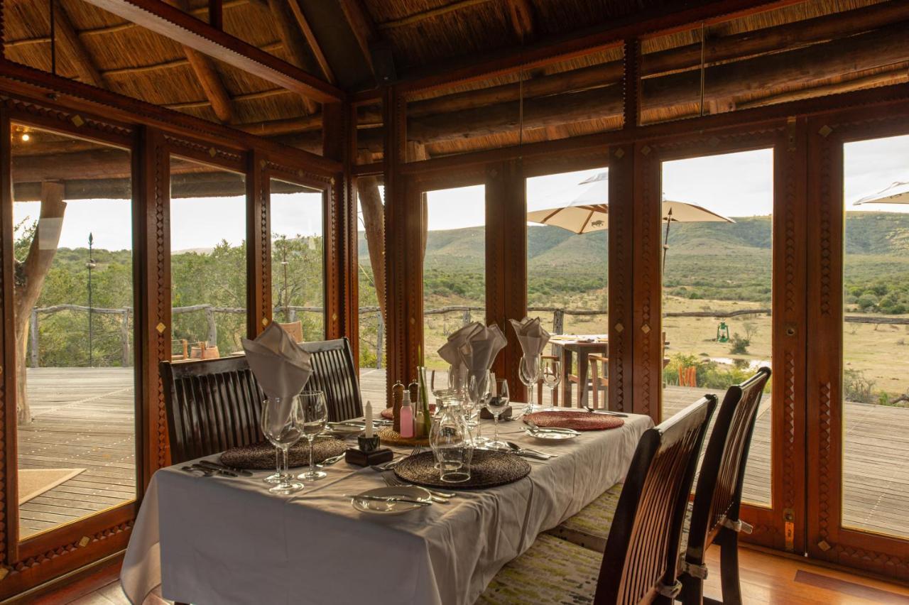 Pumba Private Game Reserve Grahamstown Exterior photo